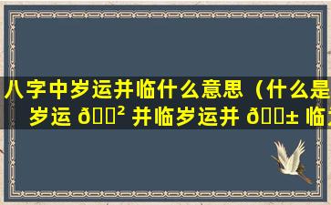 八字中岁运并临什么意思（什么是岁运 🌲 并临岁运并 🐱 临为什么不好）